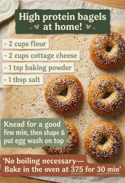 Easy Cottage Cheese Protein Bagel