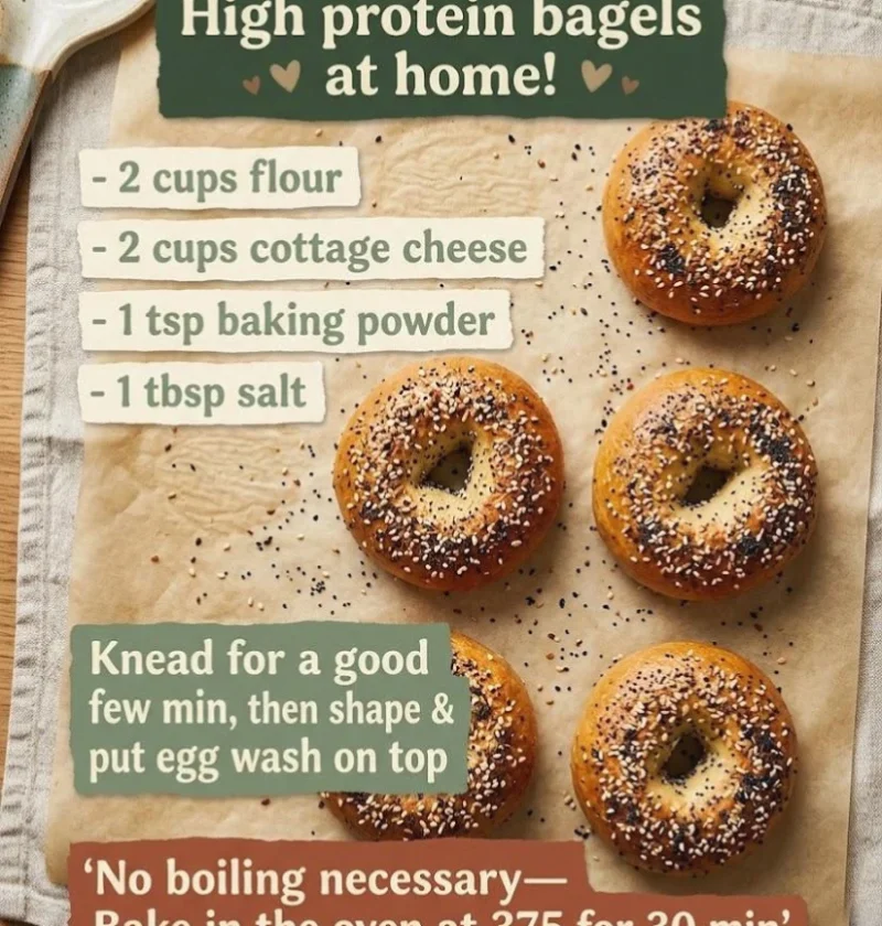 Easy Cottage Cheese Protein Bagel